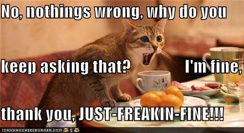 001 Cat - no-nothings-wrong-why-do-you-keep-asking-that-im-fine-thank-you-just-freakin-fine.jpg