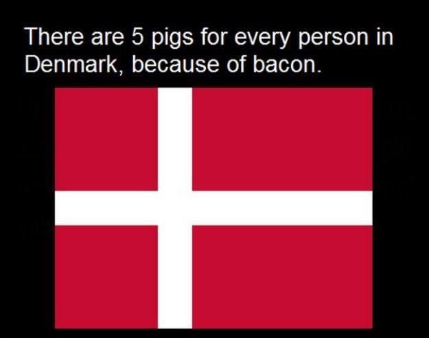 10 Facts You Probably Didn't Know About Denmark 007.jpg