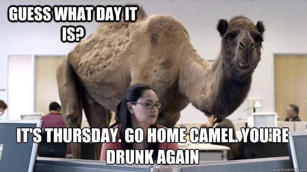 121566-Its-Thursday-Hump-Day-Camel.jpeg