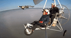 1398a4c5f6.gif
