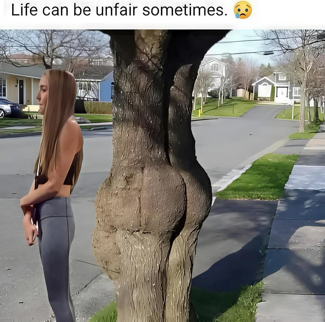 1745846019962.png