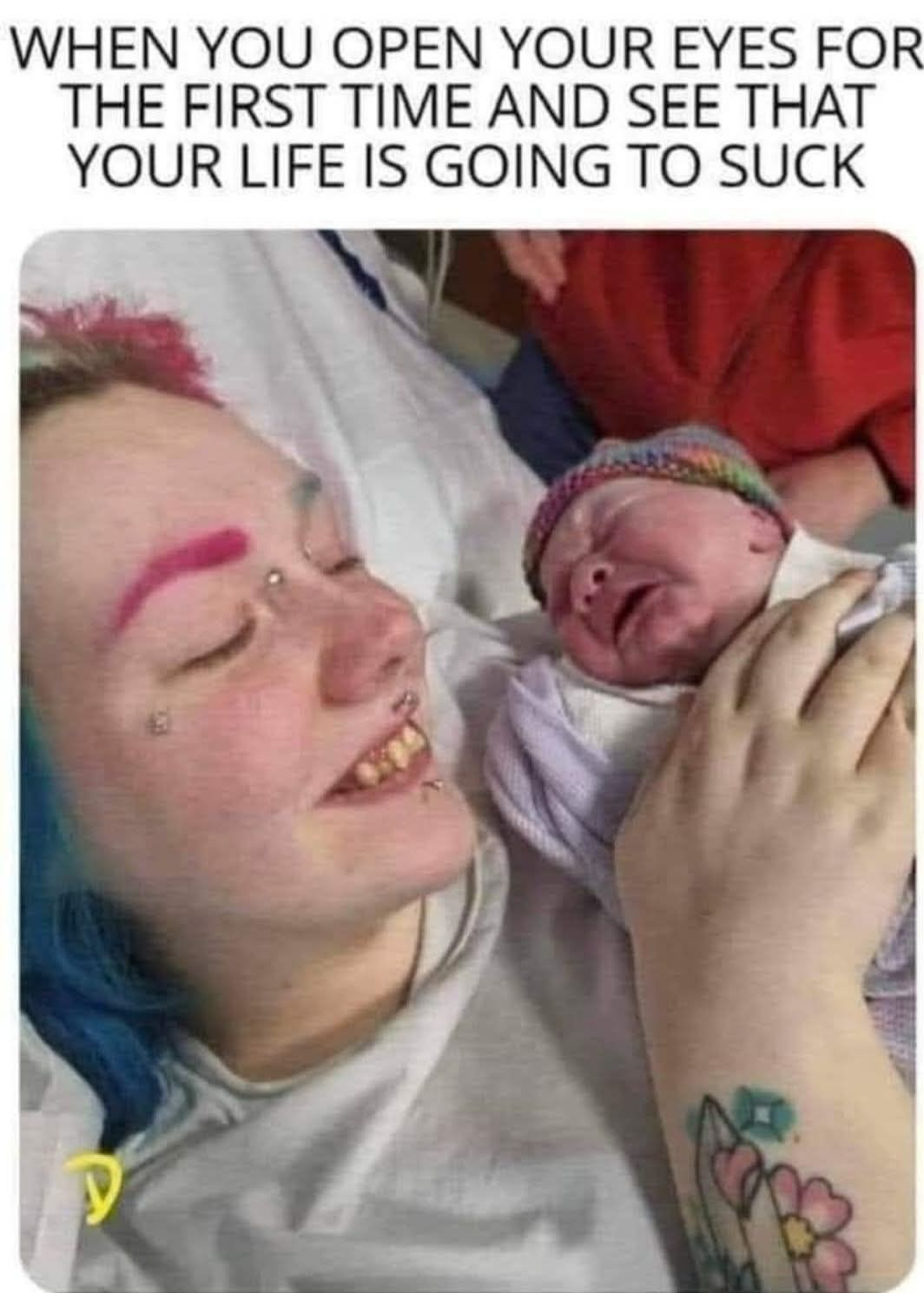 1746014904560.png