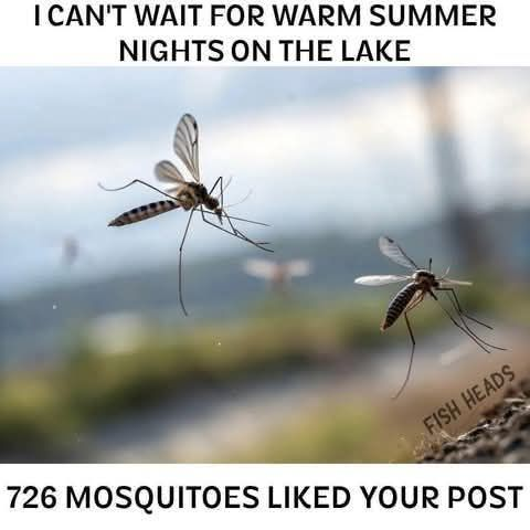 1746410938209.png