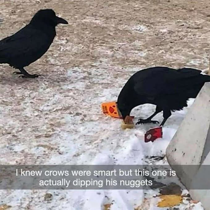 1747783531486.jpeg
