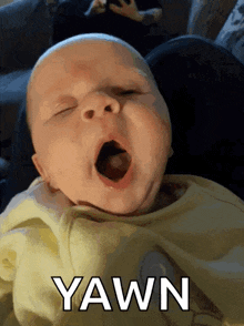 1747924318401.gif