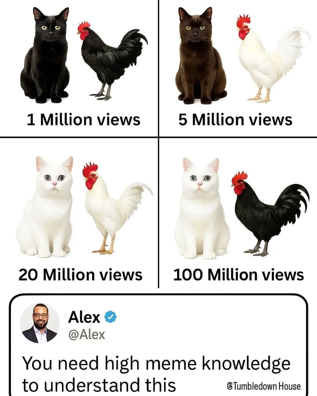 1749304948122.png