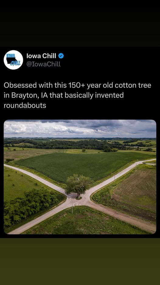 1749786918077.png