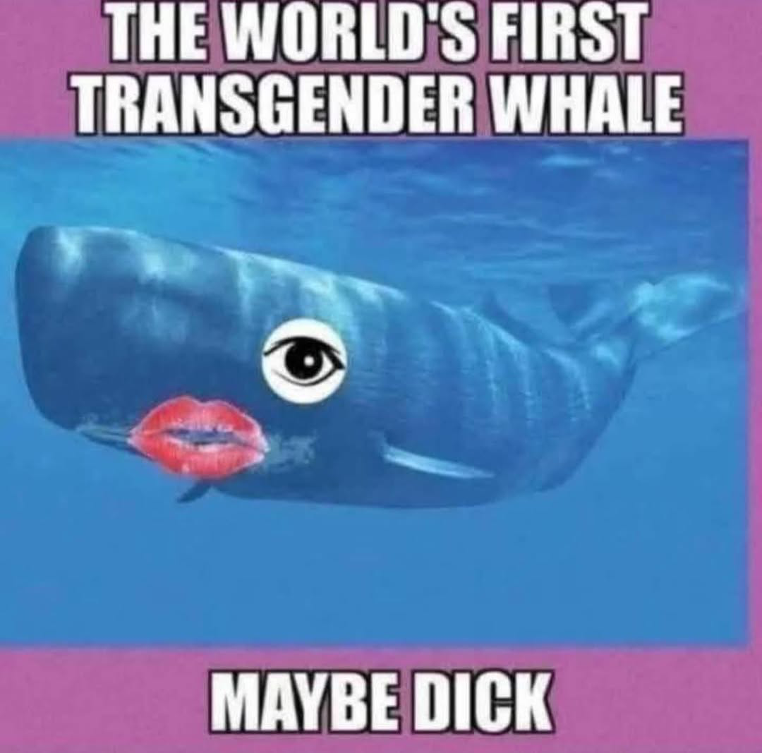 1750264808416.png