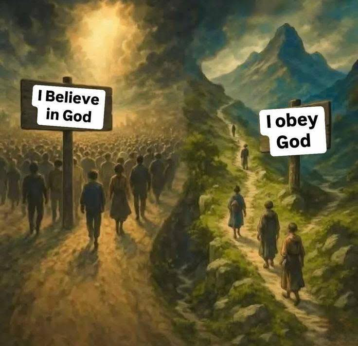 1750647192910.png