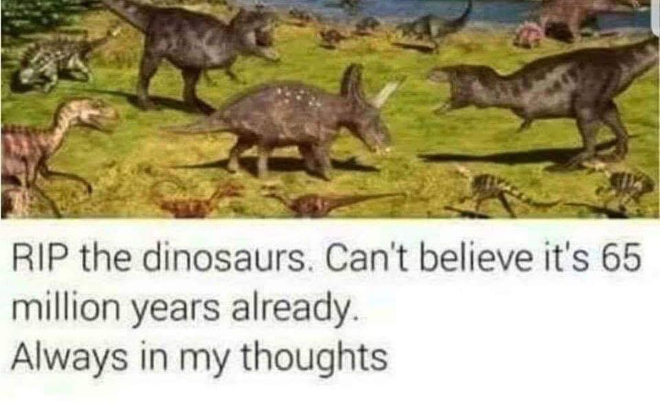1751927208862.png