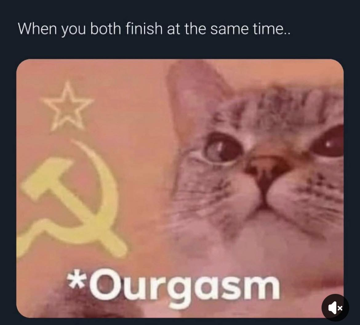1753409289089.png