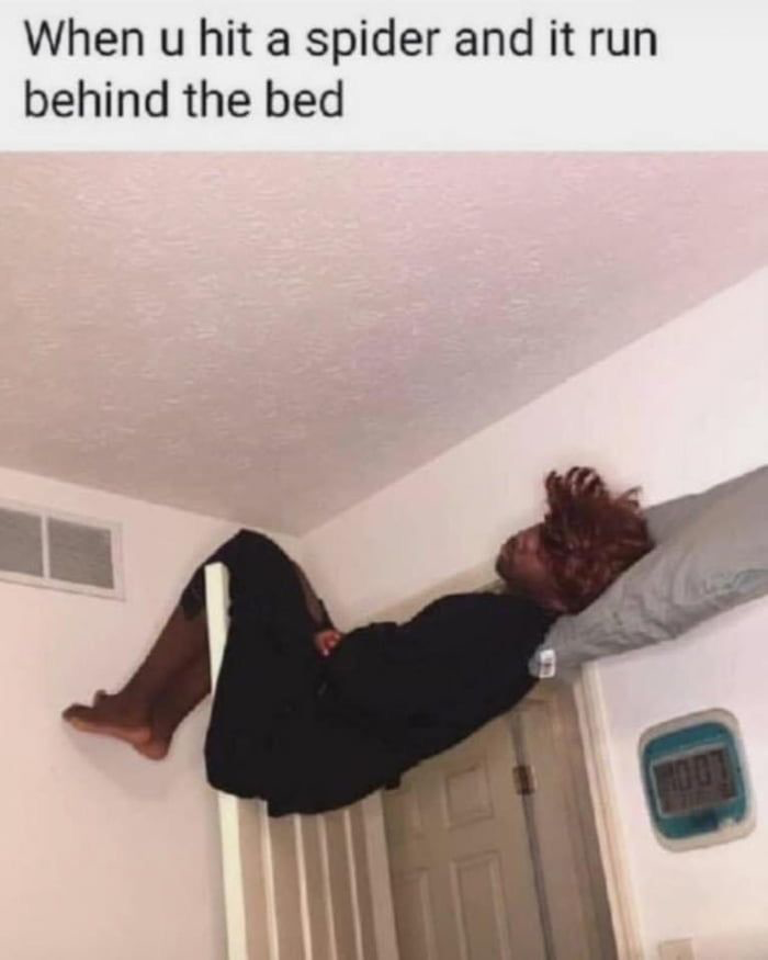 1753538706605.png