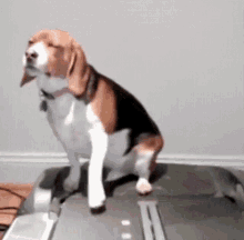 23C35EA8-F4D1-427D-97BC-D117E334F5AE.gif