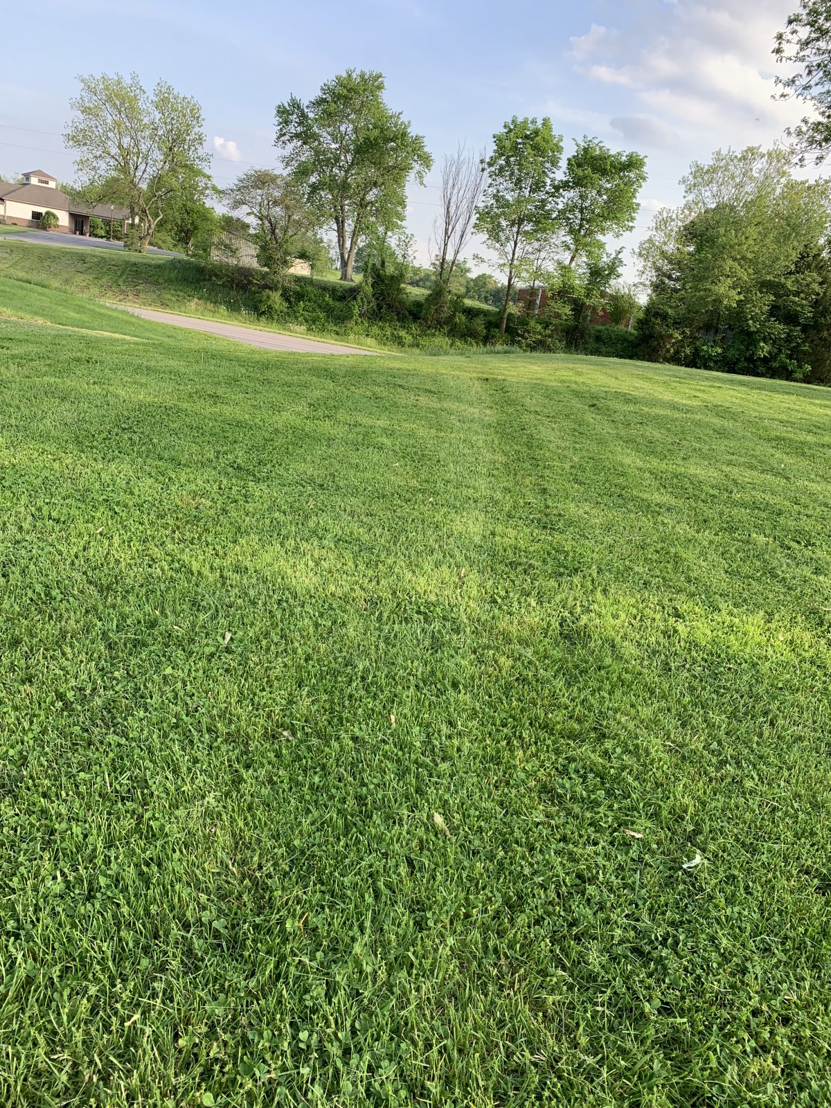 2BD5B2BD-D308-482F-9426-0E3900819D72.jpeg