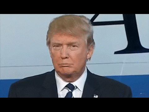 3B2162AC-9BE2-4678-ACFB-7B41036DF64B.gif