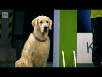 7A5E2744-E8AA-4B1A-ADBB-516D6E326837.gif