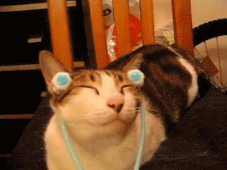 7ZJXxY2tO9rZm.gif