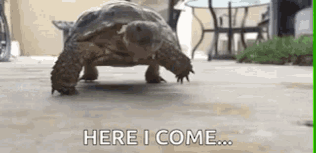 9122.gif