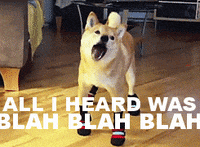 9AFA3057-803E-4A9E-B598-E71A5371DB0D.gif