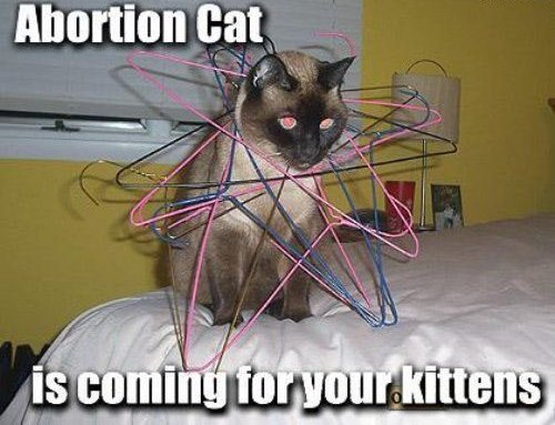 ABORTION CAT IS COMING FOR YOUR KITTENS.jpg