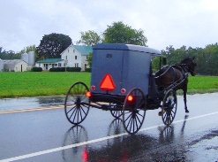 amish-maryland-buggy.jpg