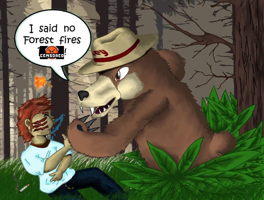 Angry_Smokey_the_Bear__by_TheMoonMonkey.jpg