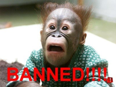 banned_chimp-s400x300-80849-580.jpg