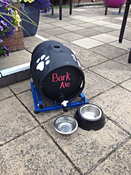 bark ale.jpg