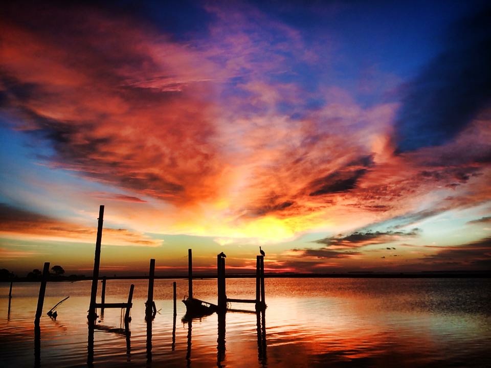 BD91708E-C3B2-47CE-868D-7D1518B23CE2.jpeg