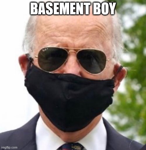 biden basement boy.jpg