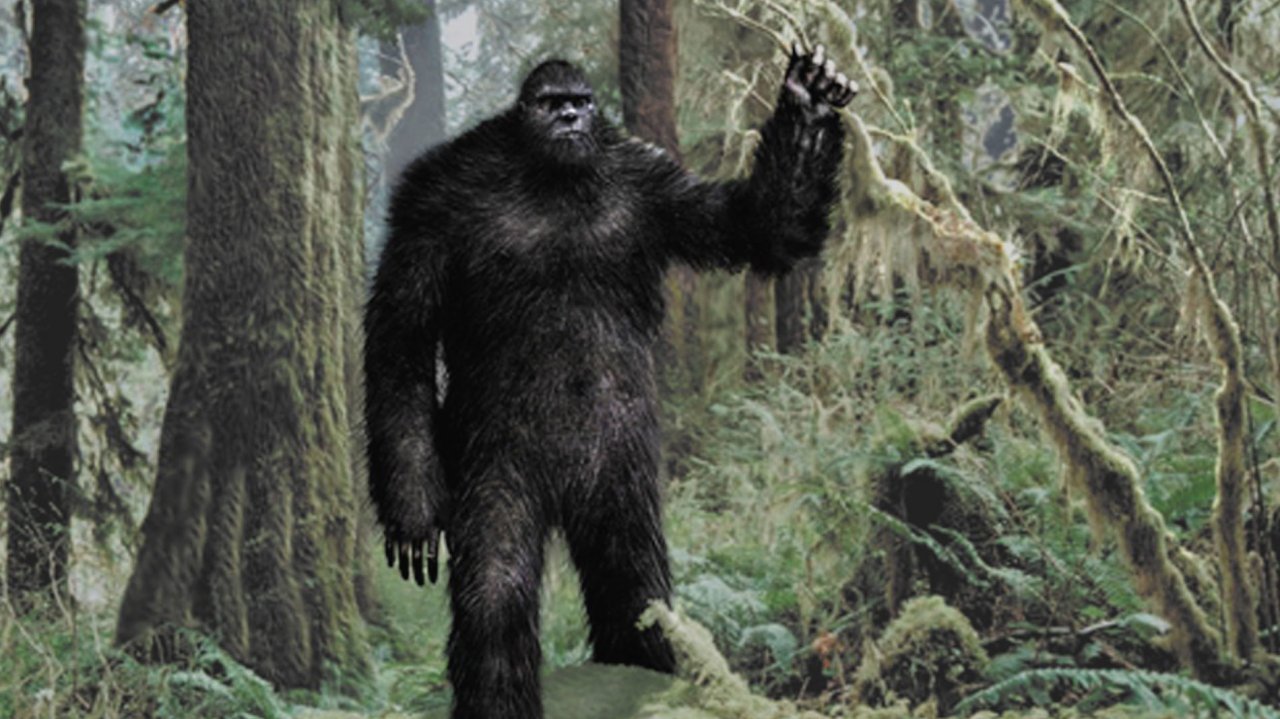 bigfoot-1900x1068_c.jpg