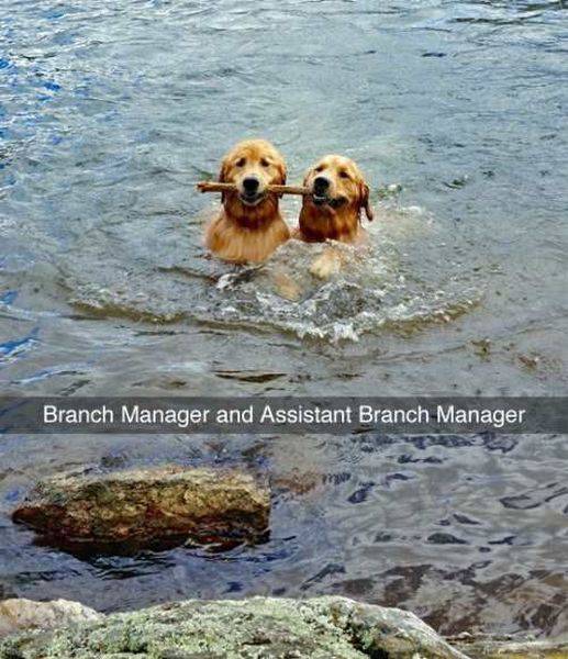 branch manager.jpg