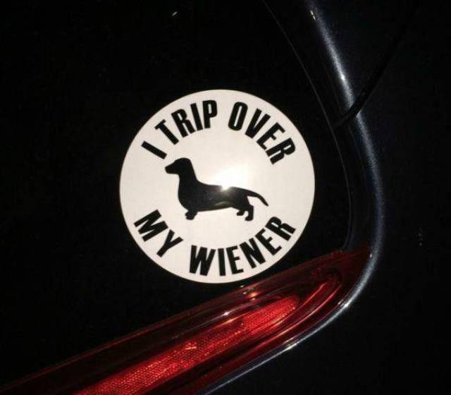 bumper_stickers_10.jpg