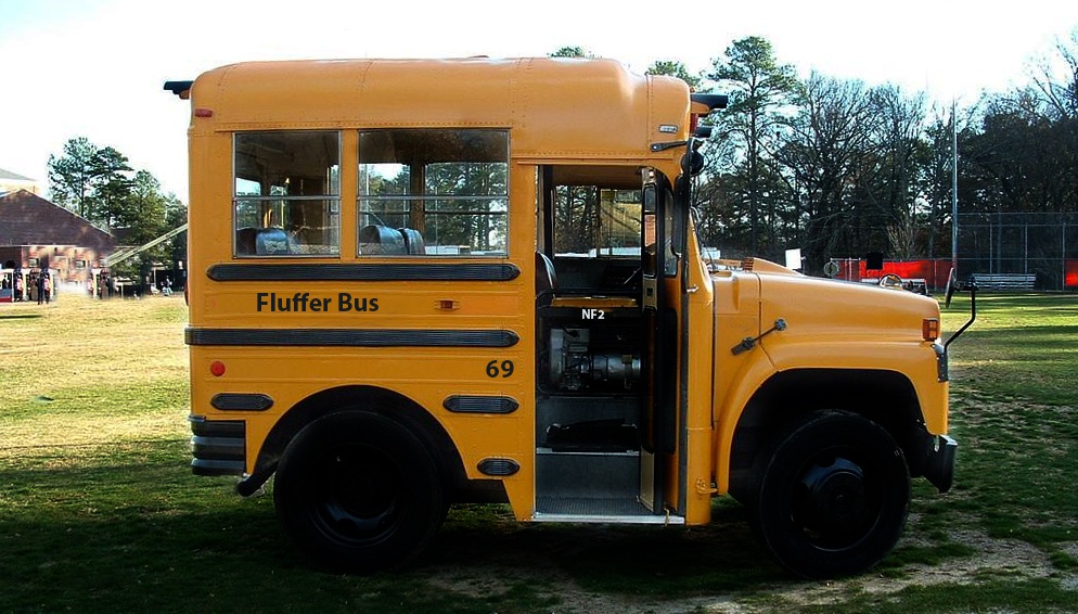 Bus Fluffer Short.jpg