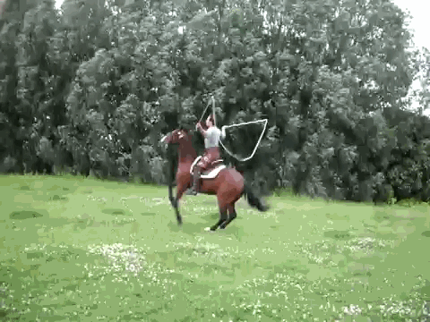 C45488AF-7CB2-418C-AC27-4A7E39955B27.gif