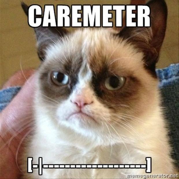 caremeter.jpg