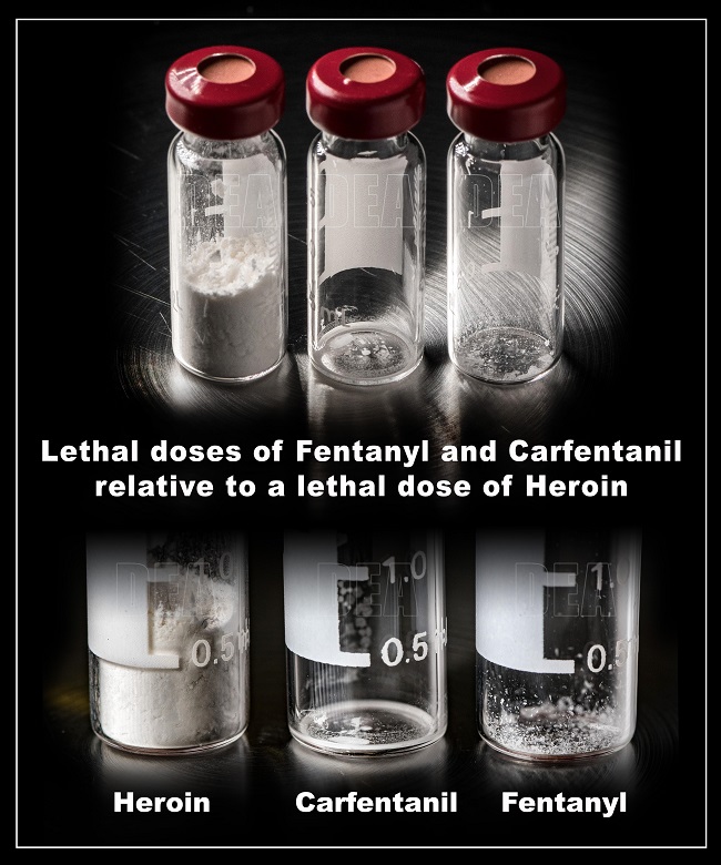 carfentanil_image-via-DEA1.jpg