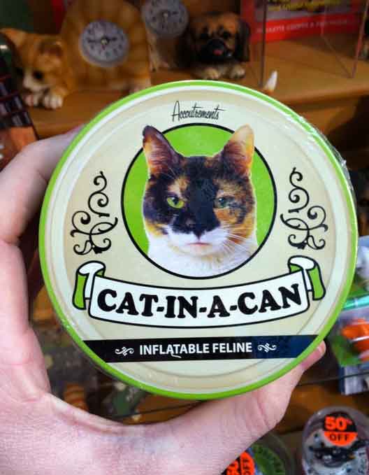 cat-in-a-can.jpg