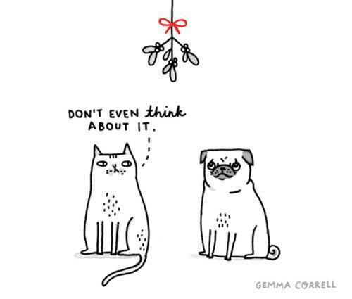 CatPugMistletoe2.jpg