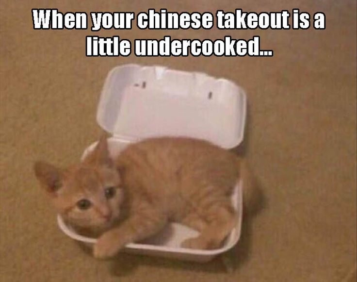 cats.jpg