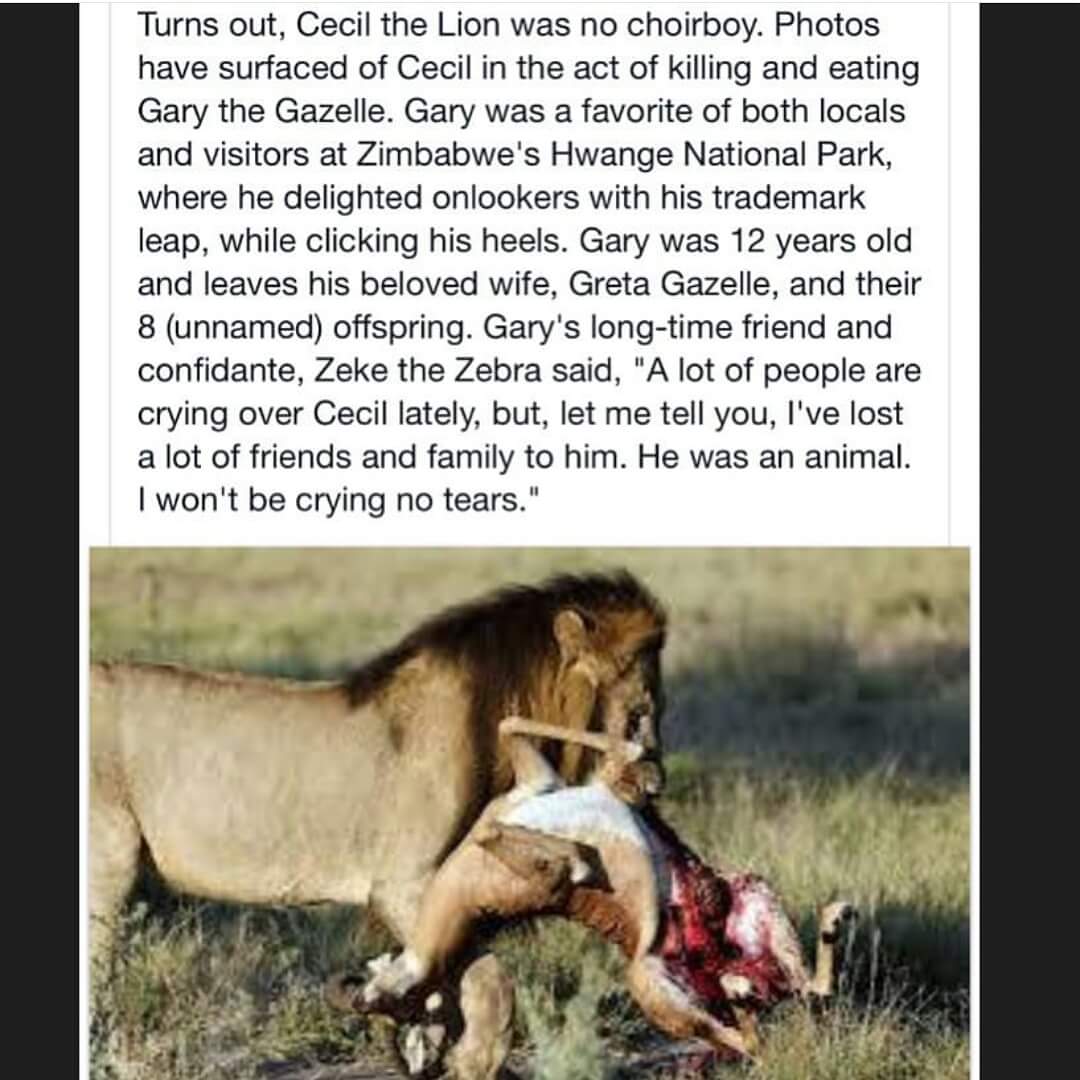 cecilthelion.jpg