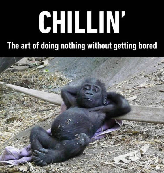 chillin.jpg