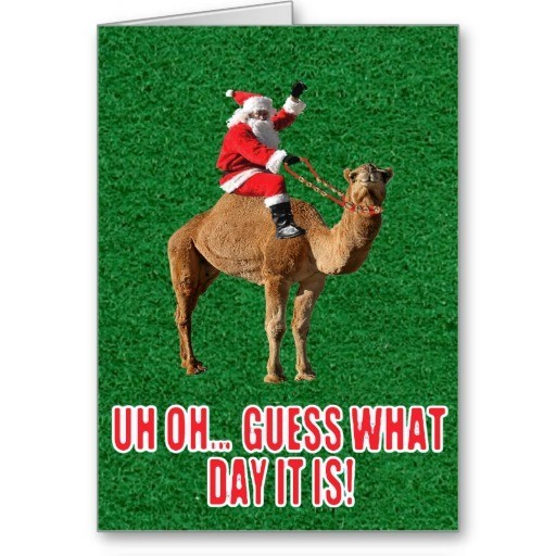 christmas_2013_hump_day_camel_and_santa_card.jpg