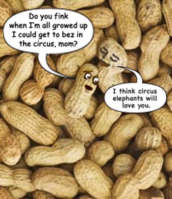 CIRCUS PEANUTS.jpg