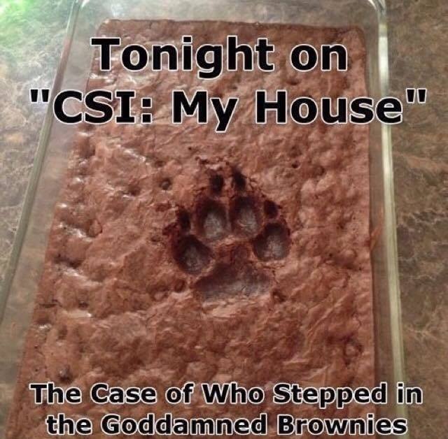 CSI.jpg