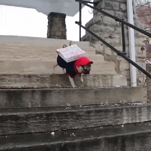 daily_gifdump_1007_07.gif