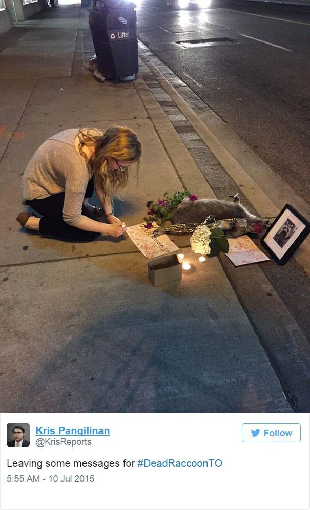 dead-raccoon-memorial-shrine-mourning-deadraccoonto-toronto-18.jpg