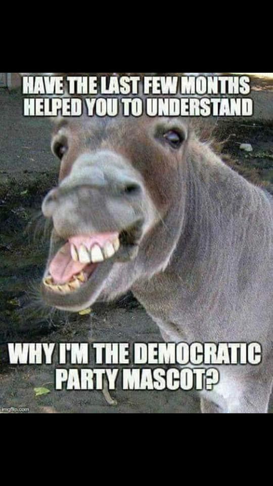 democratic ass.jpg