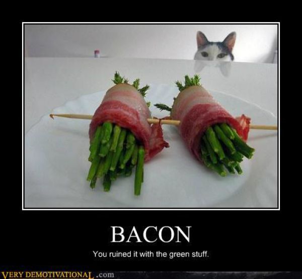 Demotivational-Posters-Bacon-6.jpg