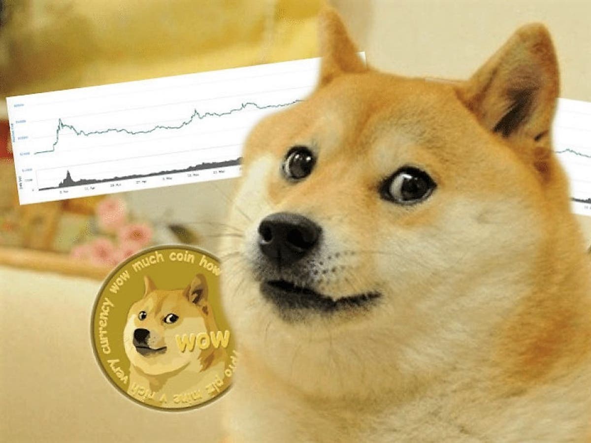 dogecoin-elon-musk.jpg